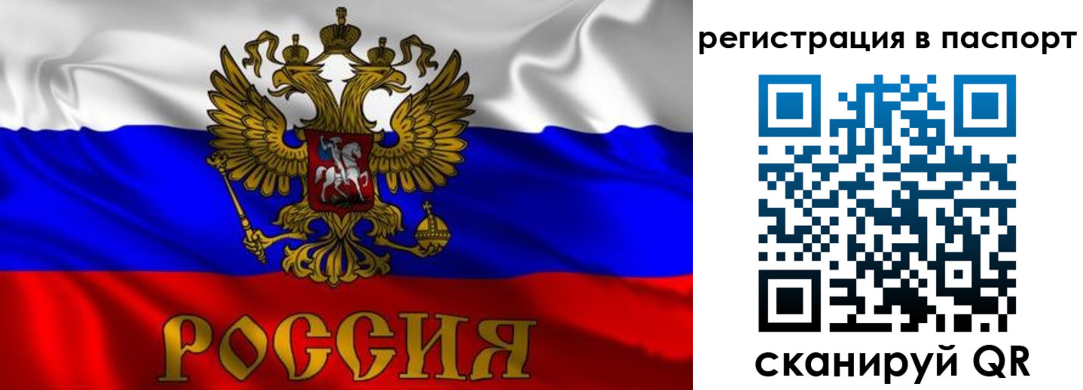 найти адрес прописки в Елизово